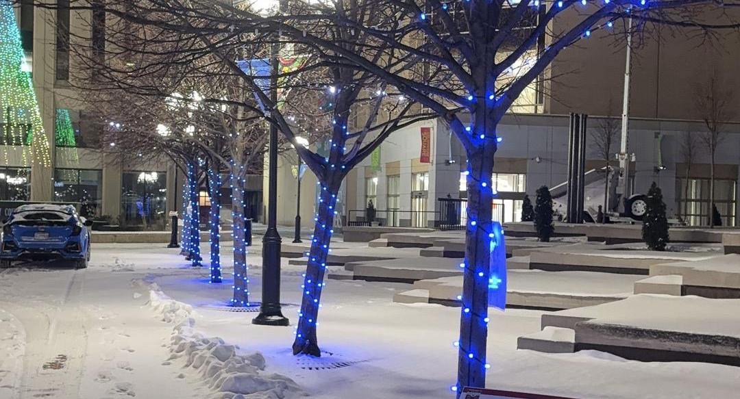 Plaza trees wrapped in blue lighting on a winter evening