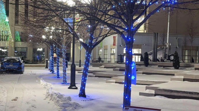 Downtown street trees wrapped in seasonal lighting